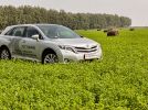 Toyota Venza: Универсальный кроссовер - фотография 4
